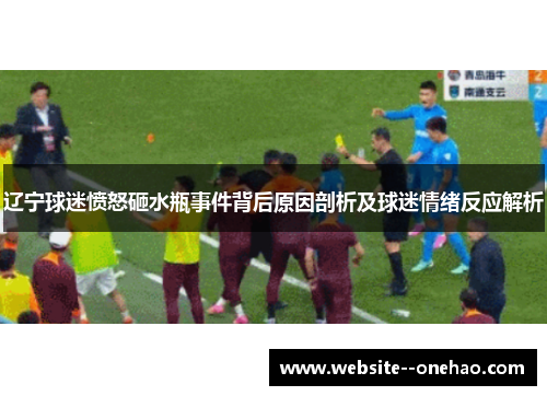 辽宁球迷愤怒砸水瓶事件背后原因剖析及球迷情绪反应解析