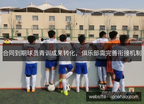 合同到期球员青训成果转化，俱乐部需完善衔接机制